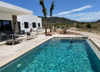 New Build - Villa - Pinoso - Casas Pastor