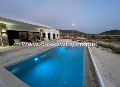 New Build - Villa - Pinoso - Casas Pastor