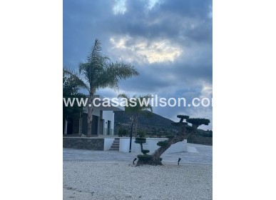 New Build - Villa - Pinoso - Casas Pastor