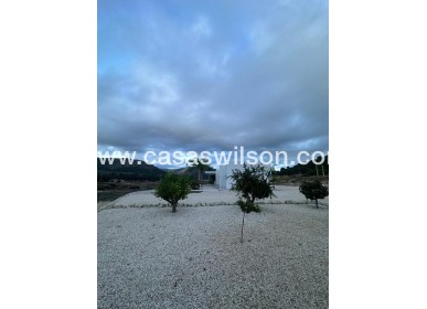 New Build - Villa - Pinoso - Casas Pastor