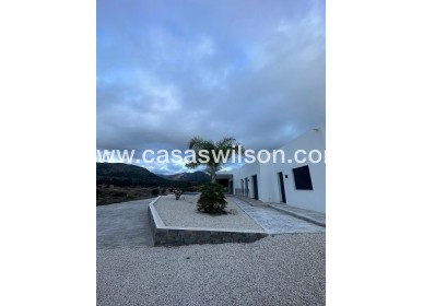 New Build - Villa - Pinoso - Casas Pastor