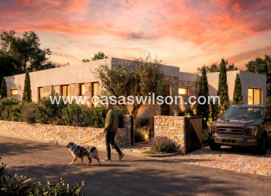 New Build - Villa - Pinoso - Casas Pastor