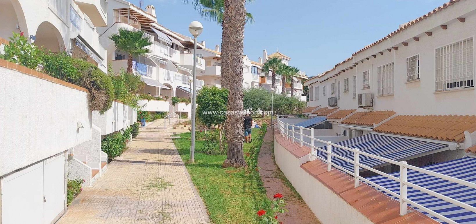 Bestaande bouw - Appartement - Cabo Roig
