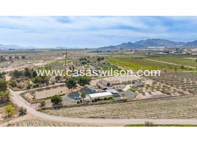 Sale - Villa - Puerto Lumbreras - Esparragal de Puerto Lumbreras