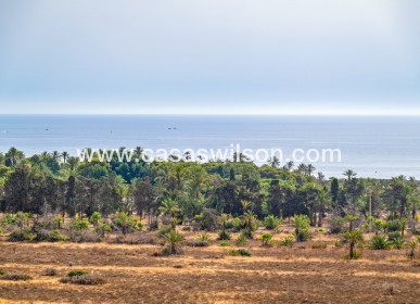 Venta - Apartamento - Orihuela Costa - Punta Prima