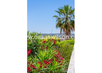 Bestaande bouw - Villa - La Marina