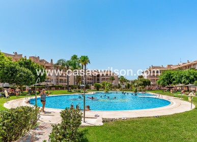 Venta - Apartamento - Orihuela Costa - Playa Flamenca