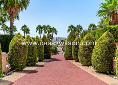 Venta - Apartamento - Orihuela Costa - Playa Flamenca