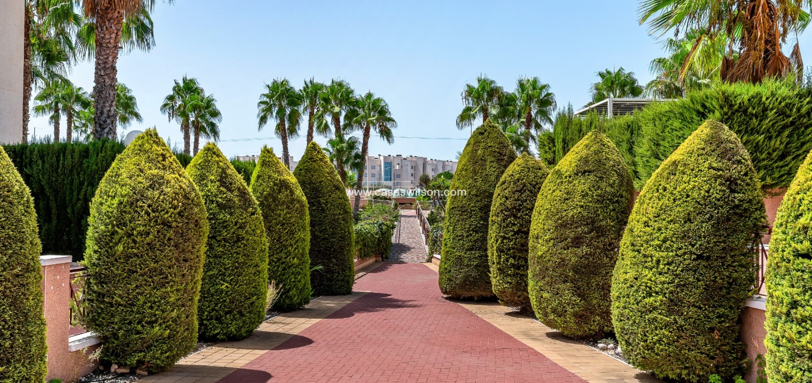 Venta - Apartamento - Orihuela Costa - Playa Flamenca
