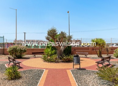 Venta - Apartamento - Orihuela Costa - Playa Flamenca