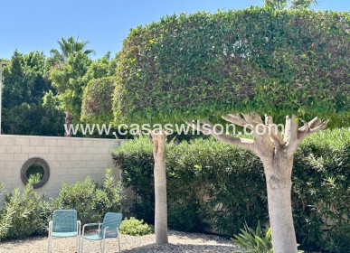 Sale - Villa - Ciudad Quesada - Ciudad Quesada - Doña Pepa