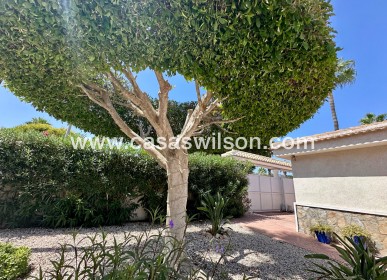 Sale - Villa - Ciudad Quesada - Ciudad Quesada - Doña Pepa
