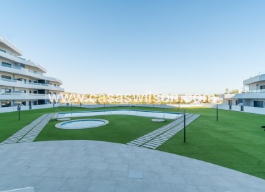 Venta - Apartamento - San Miguel de Salinas - San Miguel Salinas