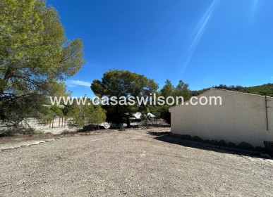 Sale - Country Property - 