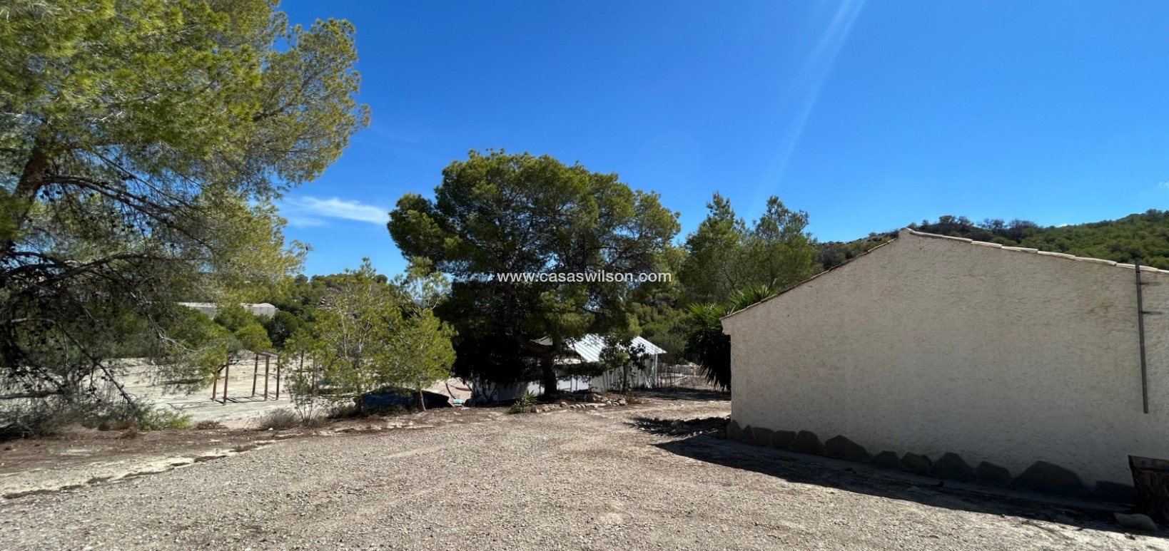 Sale - Country Property - 