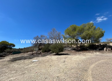 Sale - Country Property - 
