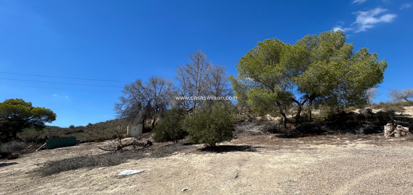Sale - Country Property - 