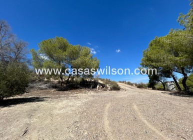 Sale - Country Property - 