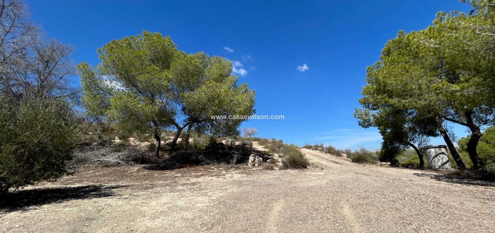 Sale - Country Property - 