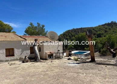 Sale - Country Property - 