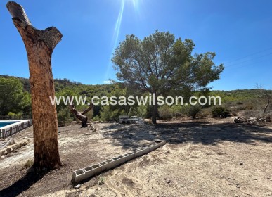 Sale - Country Property - 