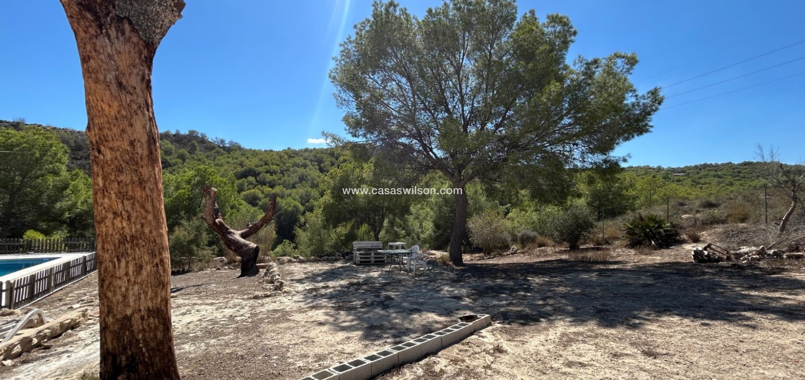 Sale - Country Property - 