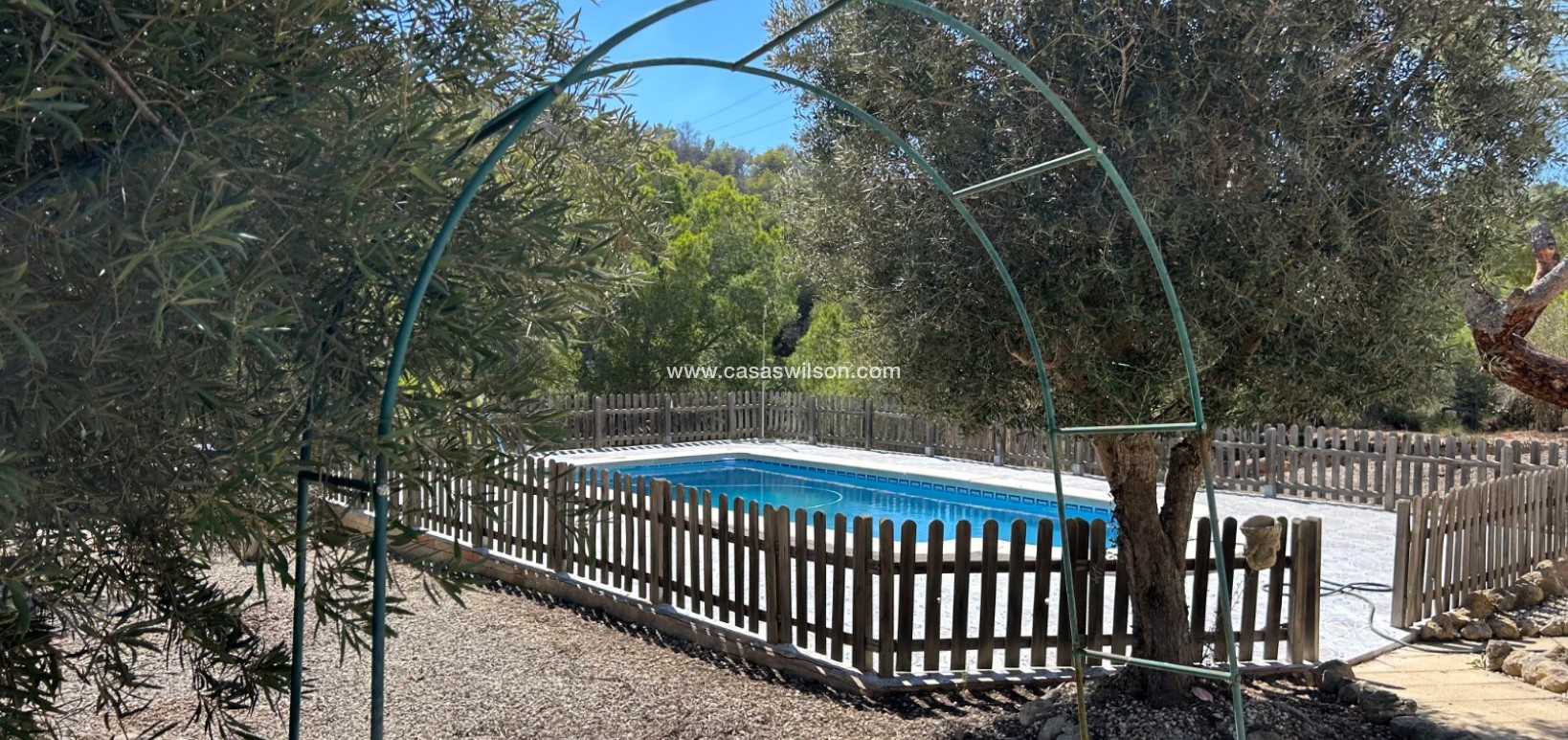 Sale - Country Property - 
