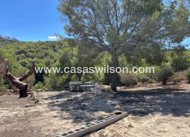 Sale - Country Property - 