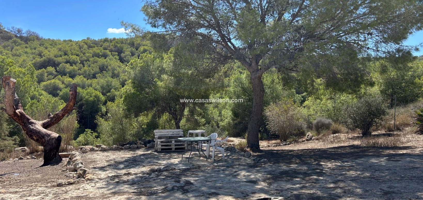 Sale - Country Property - 
