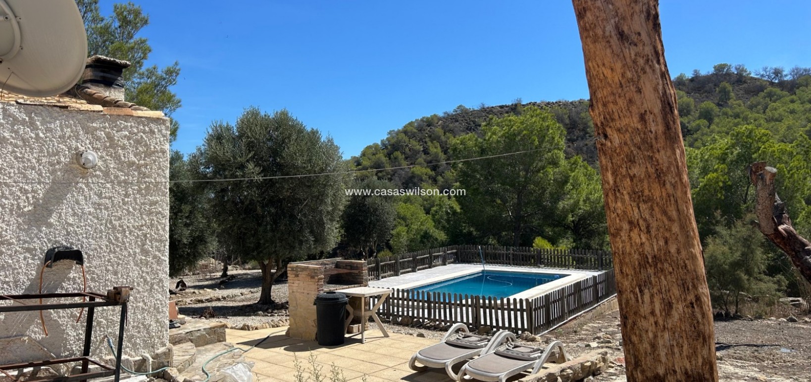 Sale - Country Property - 