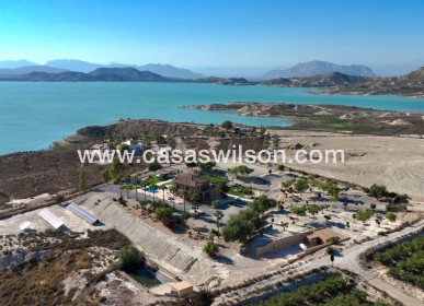 Sale - Villa - 