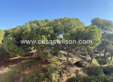 New Build - Appartement - Guardamar del Segura - CENTRO
