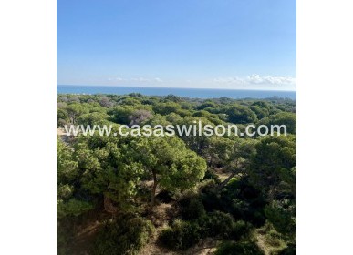 New Build - Appartement - Guardamar del Segura - CENTRO