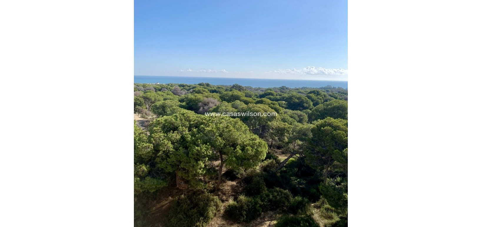 New Build - Appartement - Guardamar del Segura - CENTRO