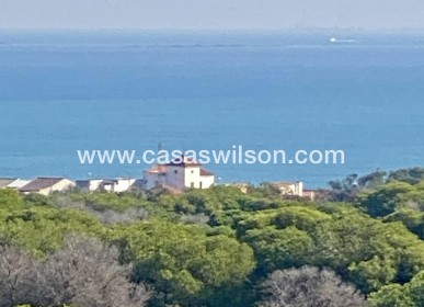 New Build - Appartement - Guardamar del Segura - CENTRO