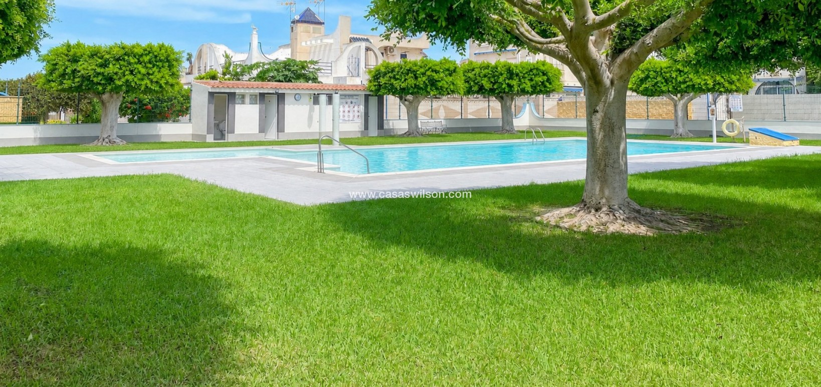Sale - Townhouse - Torrevieja - La Siesta - El Salado -  Torreta