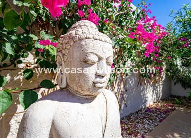 Sale - Villa - Ciudad Quesada - Doña Pena