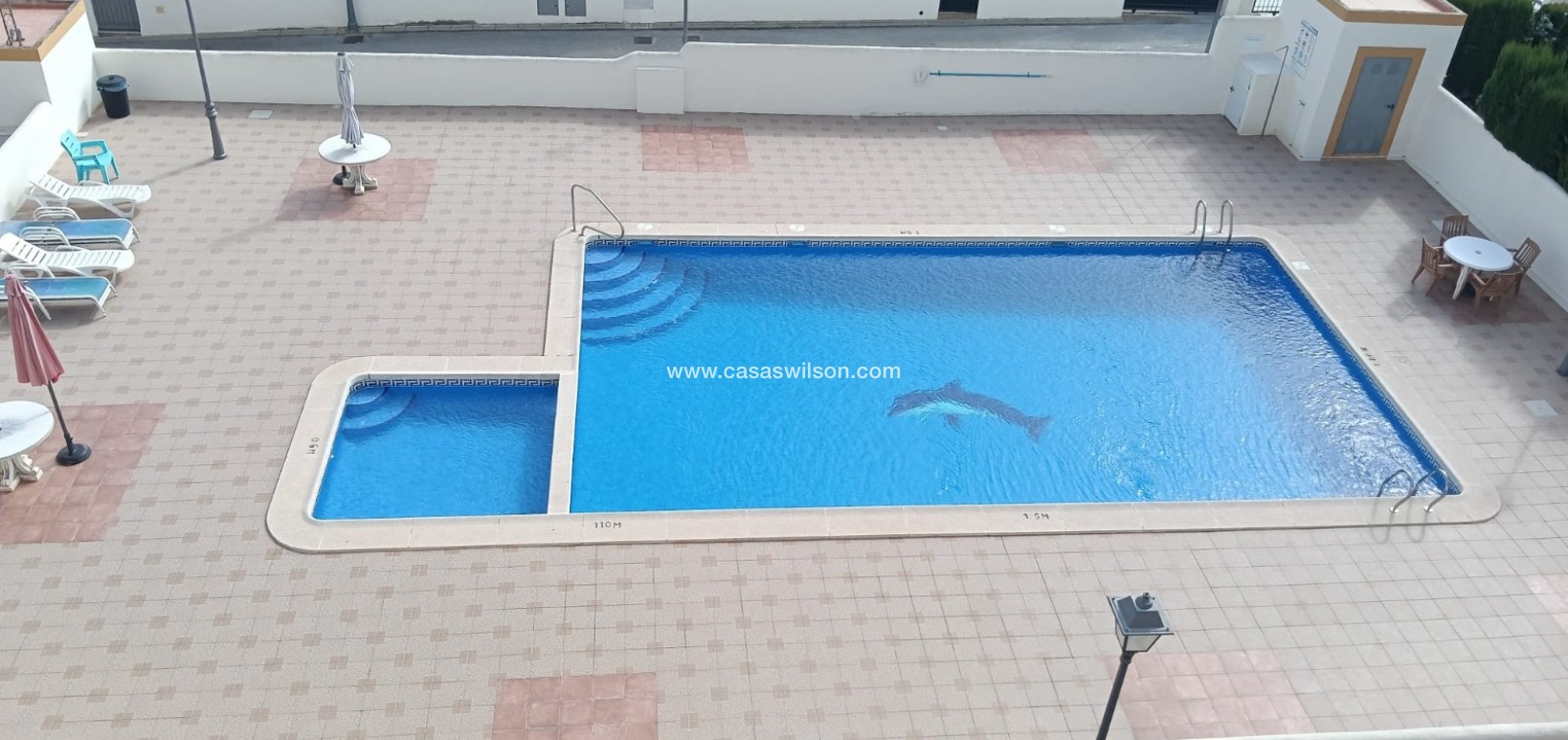 Sale - Appartement - Los Montesinos - Urbanizacion montesol