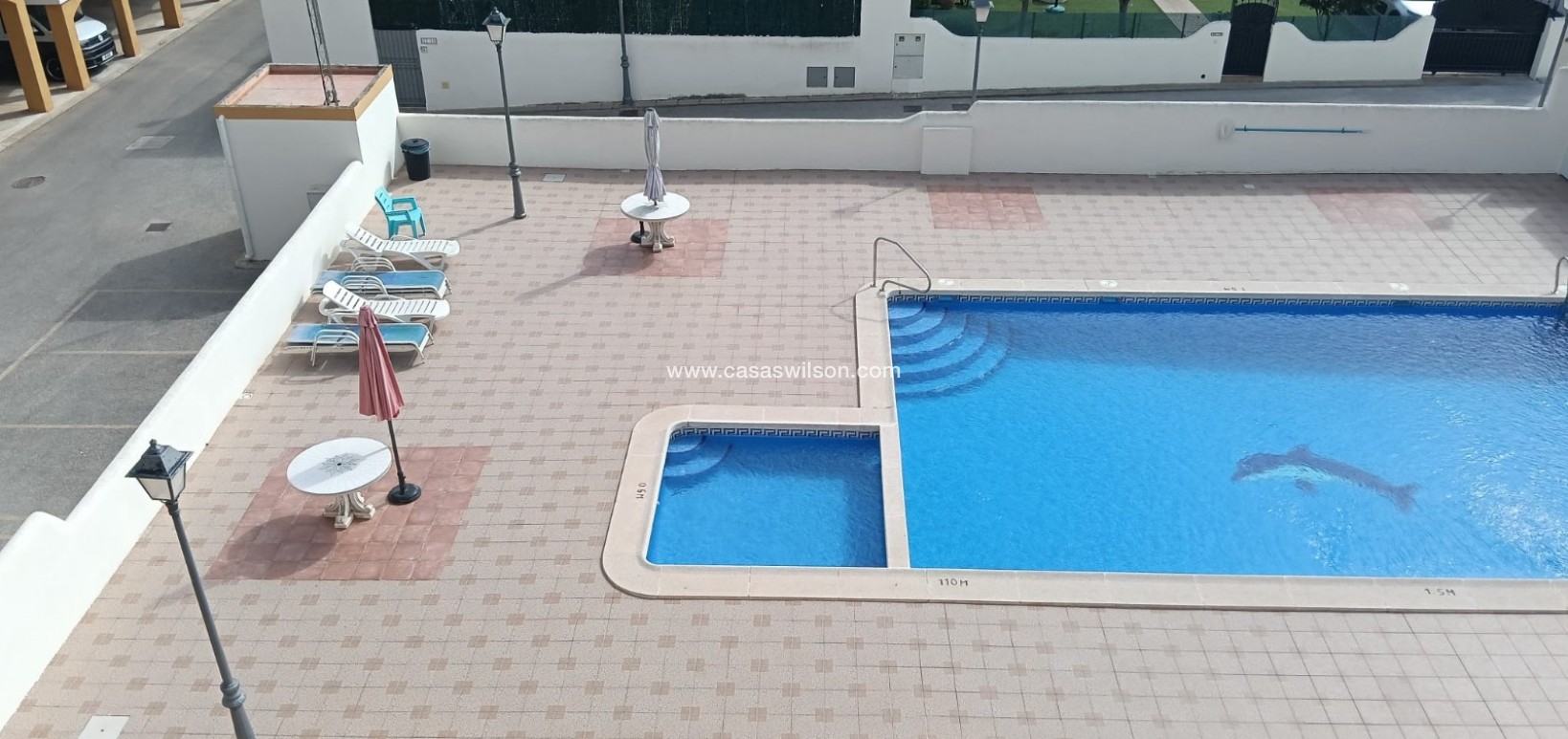 Sale - Appartement - Los Montesinos - Urbanizacion montesol