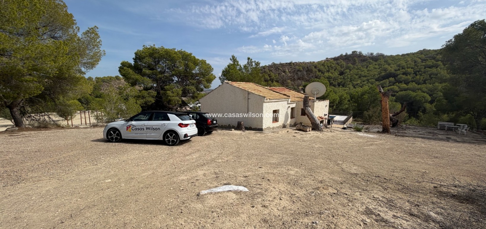 Sale - Country Property - 