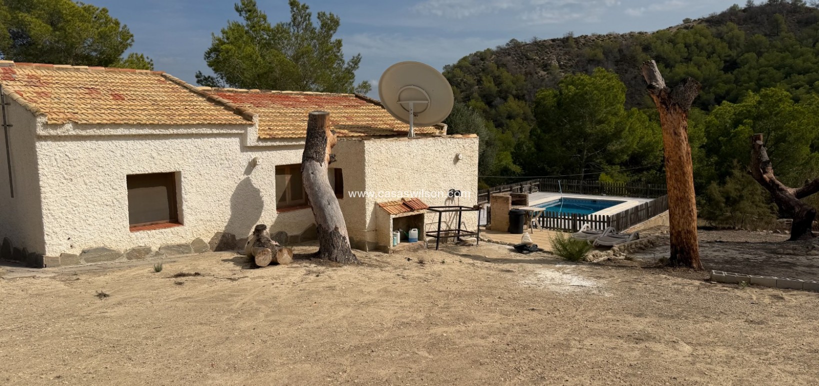 Sale - Country Property - 