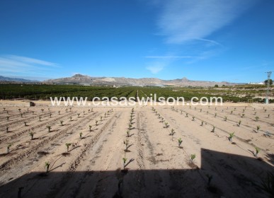 Sale - Finca / Country House -  - Costa Blanca Sur