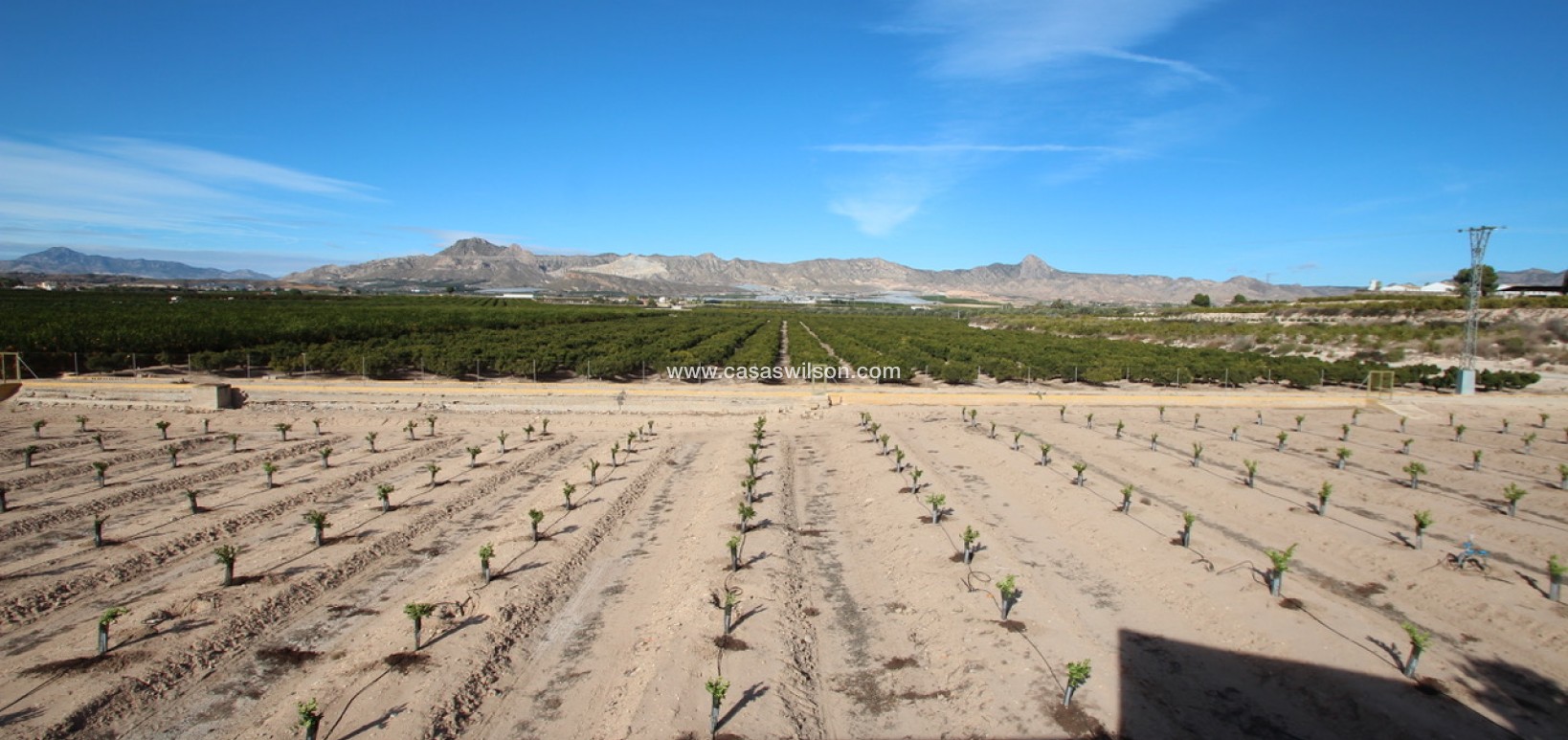 Sale - Finca / Country House -  - Costa Blanca Sur