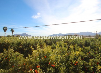 Sale - Finca / Country House -  - Costa Blanca Sur