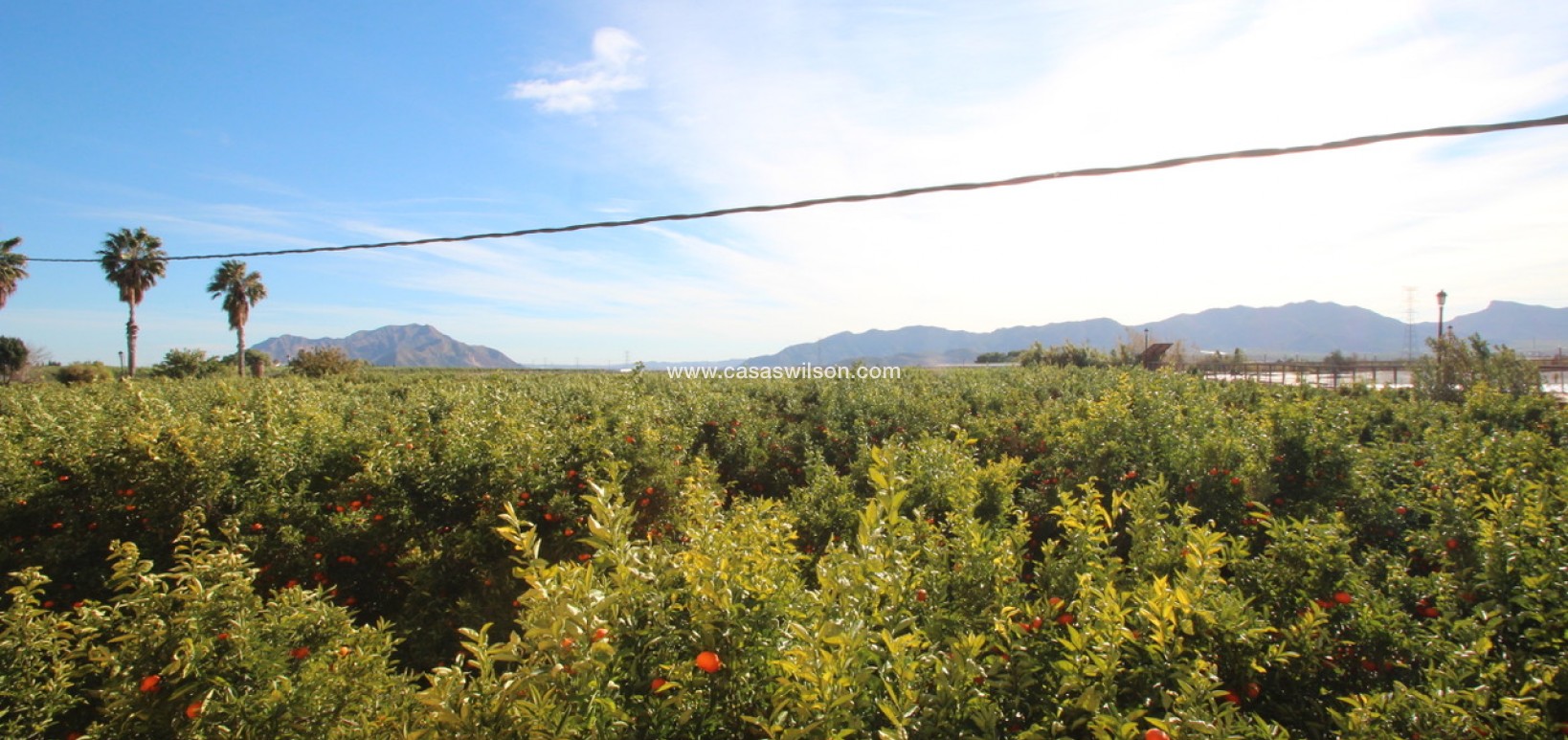 Sale - Finca / Country House -  - Costa Blanca Sur