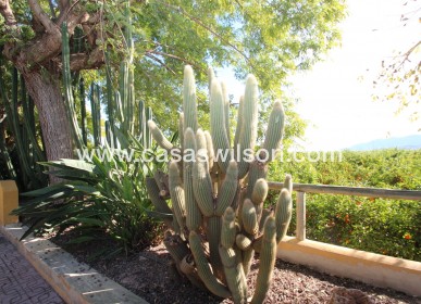 Sale - Finca / Country House -  - Costa Blanca Sur