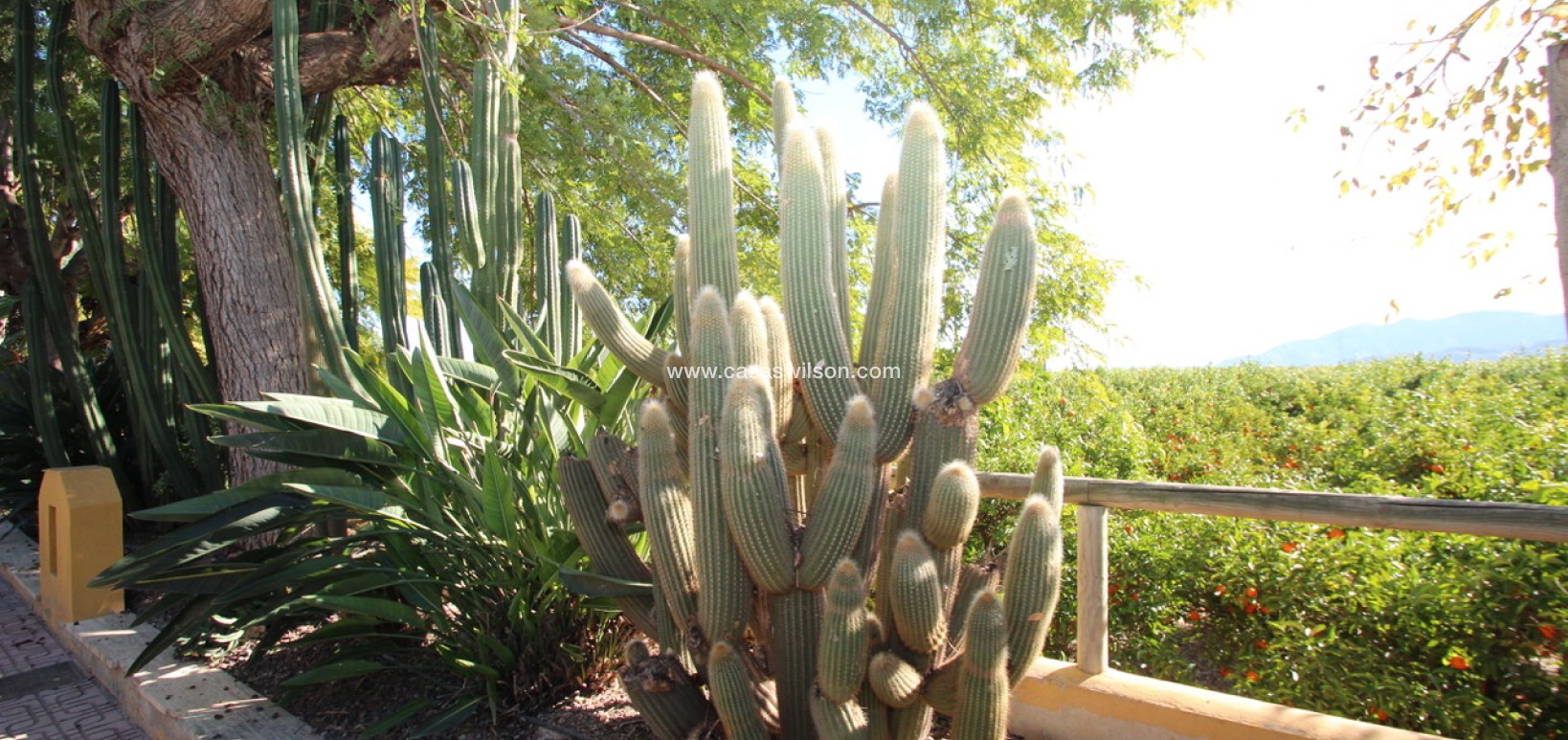 Sale - Finca / Country House -  - Costa Blanca Sur