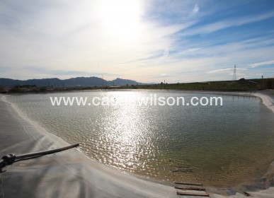 Sale - Finca / Country House -  - Costa Blanca Sur