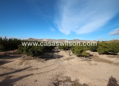 Sale - Finca / Country House -  - Costa Blanca Sur