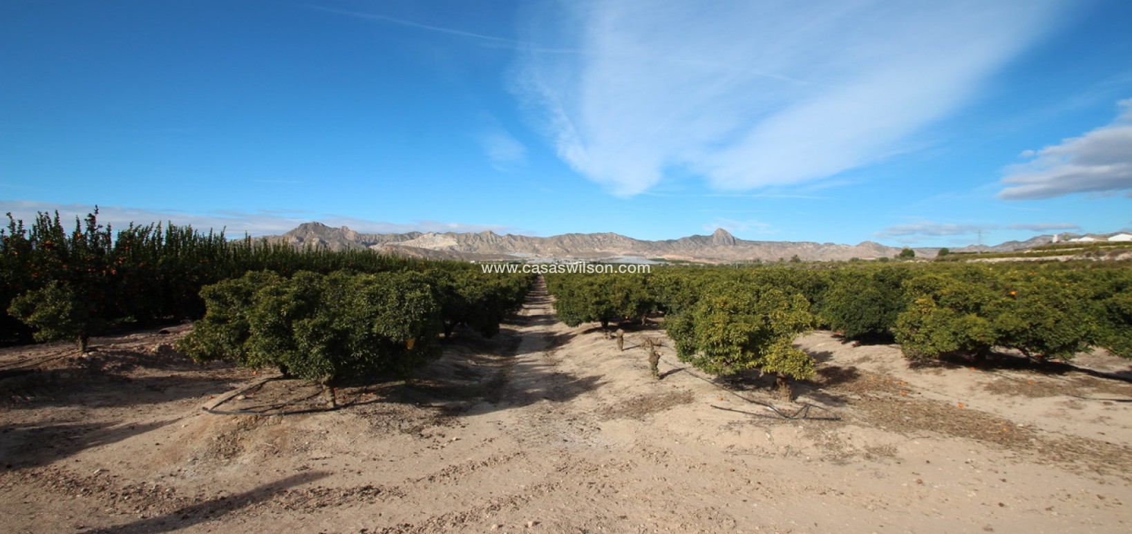 Sale - Finca / Country House -  - Costa Blanca Sur